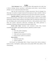 Verslo ekonomika: rankinių ir kuprinių siuvimas UAB "Karolis" 3 puslapis