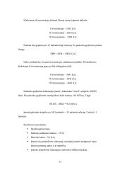 Verslo idėja: turizmo agentūra "Inkariukai Travel" 12 puslapis