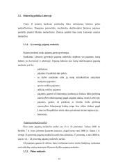 Verslo idėja: turizmo agentūra "Inkariukai Travel" 13 puslapis