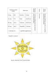 Verslo idėja: turizmo agentūra "Inkariukai Travel" 19 puslapis