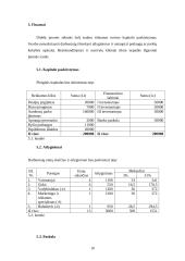 Verslo idėja: turizmo agentūra "Inkariukai Travel" 10 puslapis