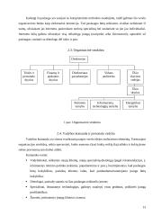 Verslo idėja: virtualios dietologų konsultacijos 12 puslapis