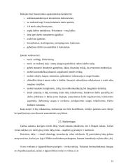 Verslo idėja: virtualios dietologų konsultacijos 14 puslapis