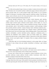 Verslo idėja: virtualios dietologų konsultacijos 15 puslapis