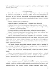 Verslo idėja: virtualios dietologų konsultacijos 16 puslapis