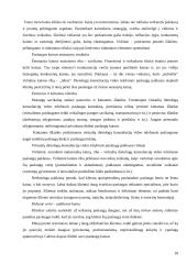 Verslo idėja: virtualios dietologų konsultacijos 17 puslapis