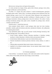 Verslo idėja: virtualios dietologų konsultacijos 18 puslapis