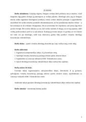 Verslo idėja: virtualios dietologų konsultacijos 2 puslapis