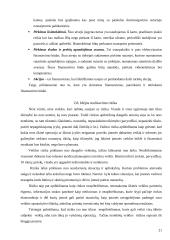 Verslo idėja: virtualios dietologų konsultacijos 20 puslapis