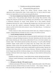 Verslo idėja: virtualios dietologų konsultacijos 3 puslapis