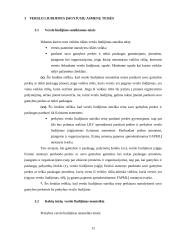 Verslo liudijimai – pajamų apmokestinimo forma 12 puslapis
