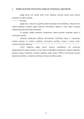 Verslo liudijimai – pajamų apmokestinimo forma 17 puslapis