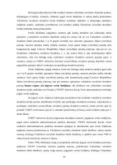 Verslo liudijimai – pajamų apmokestinimo forma 19 puslapis