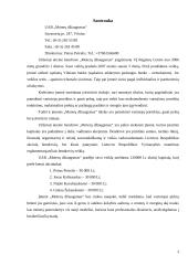 Verslo planas: apatinio trikotažo siuvimas UAB "Moterų džiaugsmas" 3 puslapis
