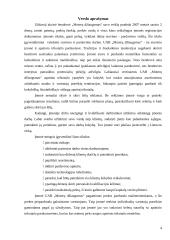Verslo planas: apatinio trikotažo siuvimas UAB "Moterų džiaugsmas" 4 puslapis