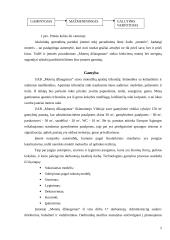 Verslo planas: apatinio trikotažo siuvimas UAB "Moterų džiaugsmas" 5 puslapis