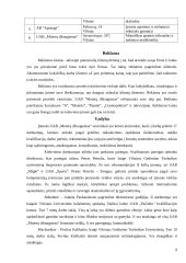 Verslo planas: apatinio trikotažo siuvimas UAB "Moterų džiaugsmas" 9 puslapis