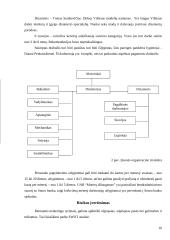 Verslo planas: apatinio trikotažo siuvimas UAB "Moterų džiaugsmas" 10 puslapis