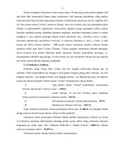 Verslo planas: apgyvendinimo paslaugos UAB "Arinas" 11 puslapis