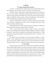 Verslo planas: apgyvendinimo paslaugos UAB "Arinas" 12 puslapis