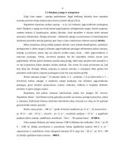 Verslo planas: apgyvendinimo paslaugos UAB "Arinas" 13 puslapis