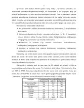 Verslo planas: apgyvendinimo paslaugos UAB "Arinas" 16 puslapis