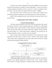 Verslo planas: apgyvendinimo paslaugos UAB "Arinas" 17 puslapis