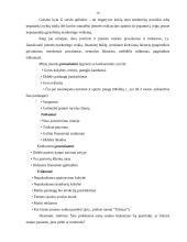 Verslo planas: apgyvendinimo paslaugos UAB "Arinas" 19 puslapis