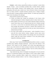 Verslo planas: apgyvendinimo paslaugos UAB "Arinas" 8 puslapis