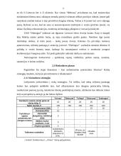 Verslo planas: apgyvendinimo paslaugos UAB "Arinas" 10 puslapis