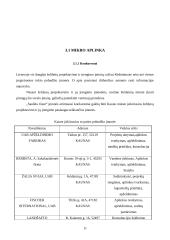 Verslo planas: aplinkos apželdinimo paslaugos UAB "Saulėta oazė" 10 puslapis