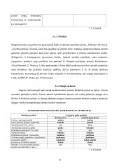 Verslo planas: aplinkos apželdinimo paslaugos UAB "Saulėta oazė" 12 puslapis