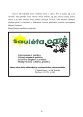 Verslo planas: aplinkos apželdinimo paslaugos UAB "Saulėta oazė" 17 puslapis