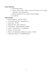 Verslo planas: aplinkos apželdinimo paslaugos UAB "Saulėta oazė" 4 puslapis