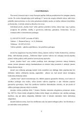 Verslo planas: aplinkos apželdinimo paslaugos UAB "Saulėta oazė" 5 puslapis