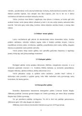 Verslo planas: aplinkos apželdinimo paslaugos UAB "Saulėta oazė" 8 puslapis