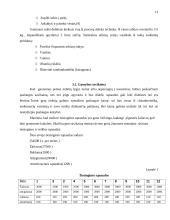 Verslo planas: arbūzų sultys 11 puslapis