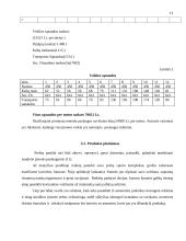 Verslo planas: arbūzų sultys 12 puslapis