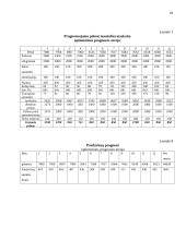 Verslo planas: arbūzų sultys 17 puslapis