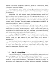 Verslo planas: arbūzų sultys 4 puslapis