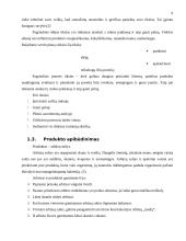 Verslo planas: arbūzų sultys 5 puslapis