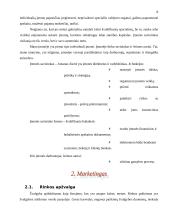 Verslo planas: arbūzų sultys 7 puslapis