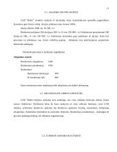 Verslo planas: automašinų plovykla UAB "Robis" 13 puslapis