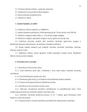 Verslo planas: automašinų plovykla UAB "Robis" 15 puslapis