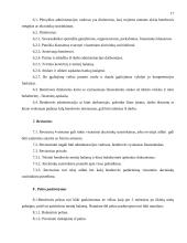 Verslo planas: automašinų plovykla UAB "Robis" 17 puslapis