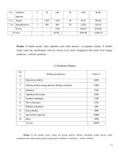 Verslo planas: baras "Studentas" 12 puslapis