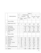 Verslo planas: baras "Studentas" 15 puslapis