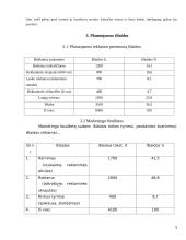 Verslo planas: baras "Studentas" 10 puslapis