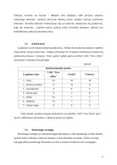 Verslo planas: drabužių parduotuvė UAB "Tavo stilius" 5 puslapis