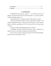 Verslo planas: grožio salonas IĮ "Orseidė" 2 puslapis